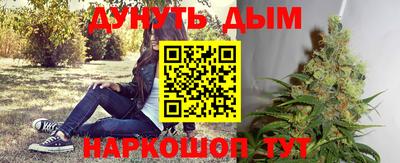 Альфа ПВП Беслан