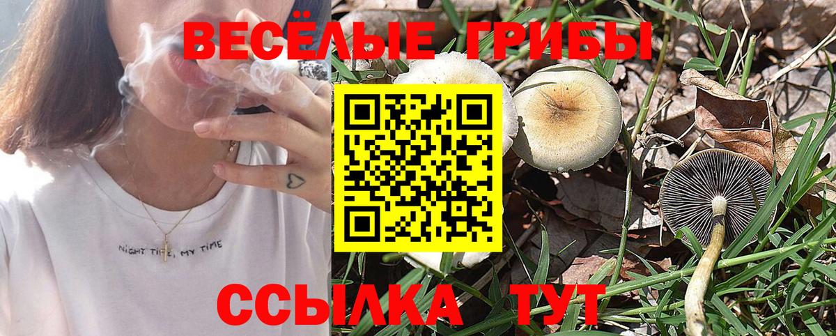Галлюциногенные грибы GOLDEN TEACHER Коломна