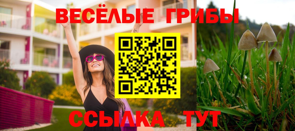 даркнет сайт  Псилоцибиновые грибы Cubensis  Вход с VPN  Псилоцибиновые грибы MAGIC MUSHROOMS  Коломна 